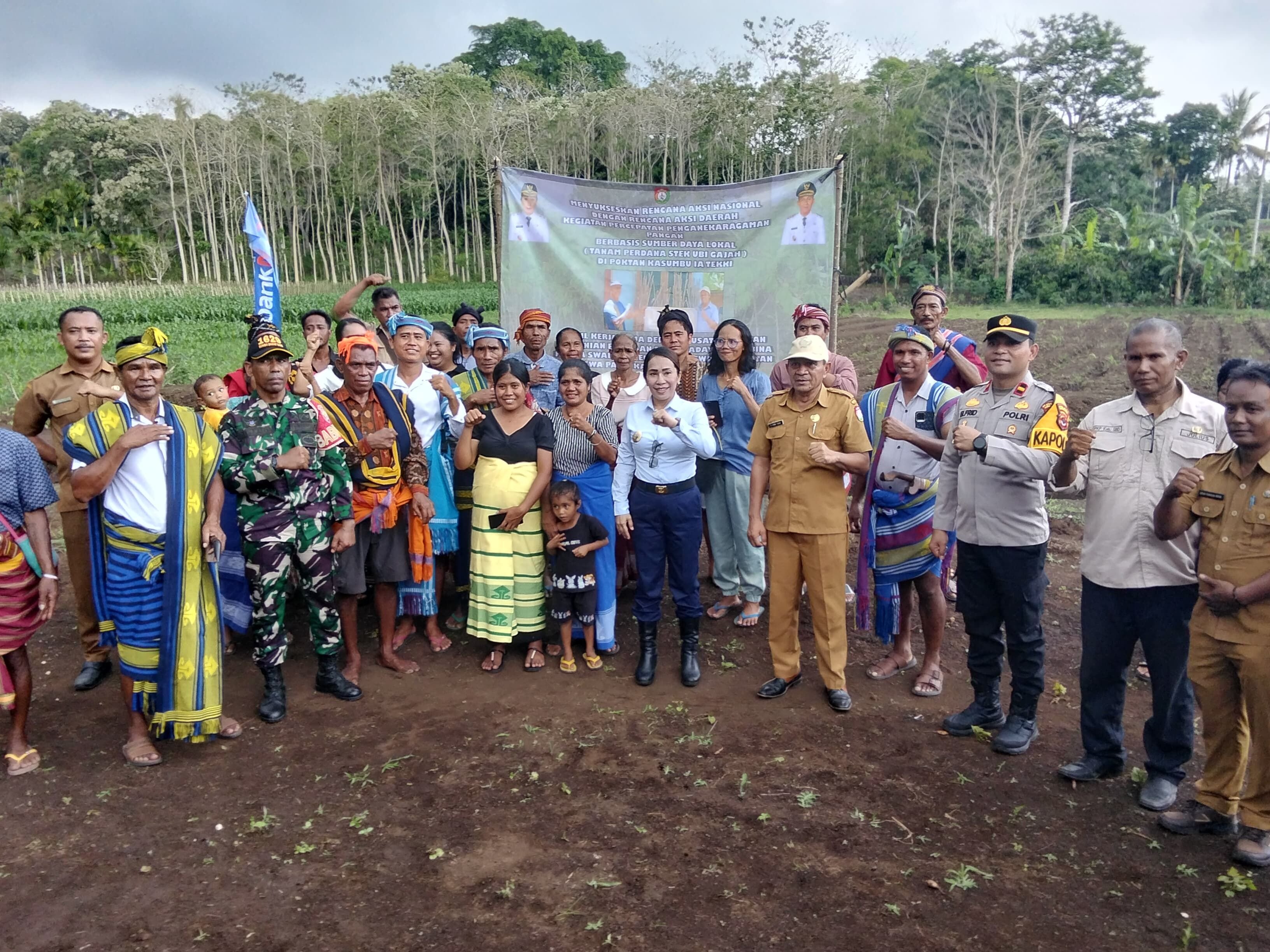 Bupati SBD Ratu Wulla Serahkan Alsintan dan Pimpin Tanam Perdana Singkong Gajah di Waimangura