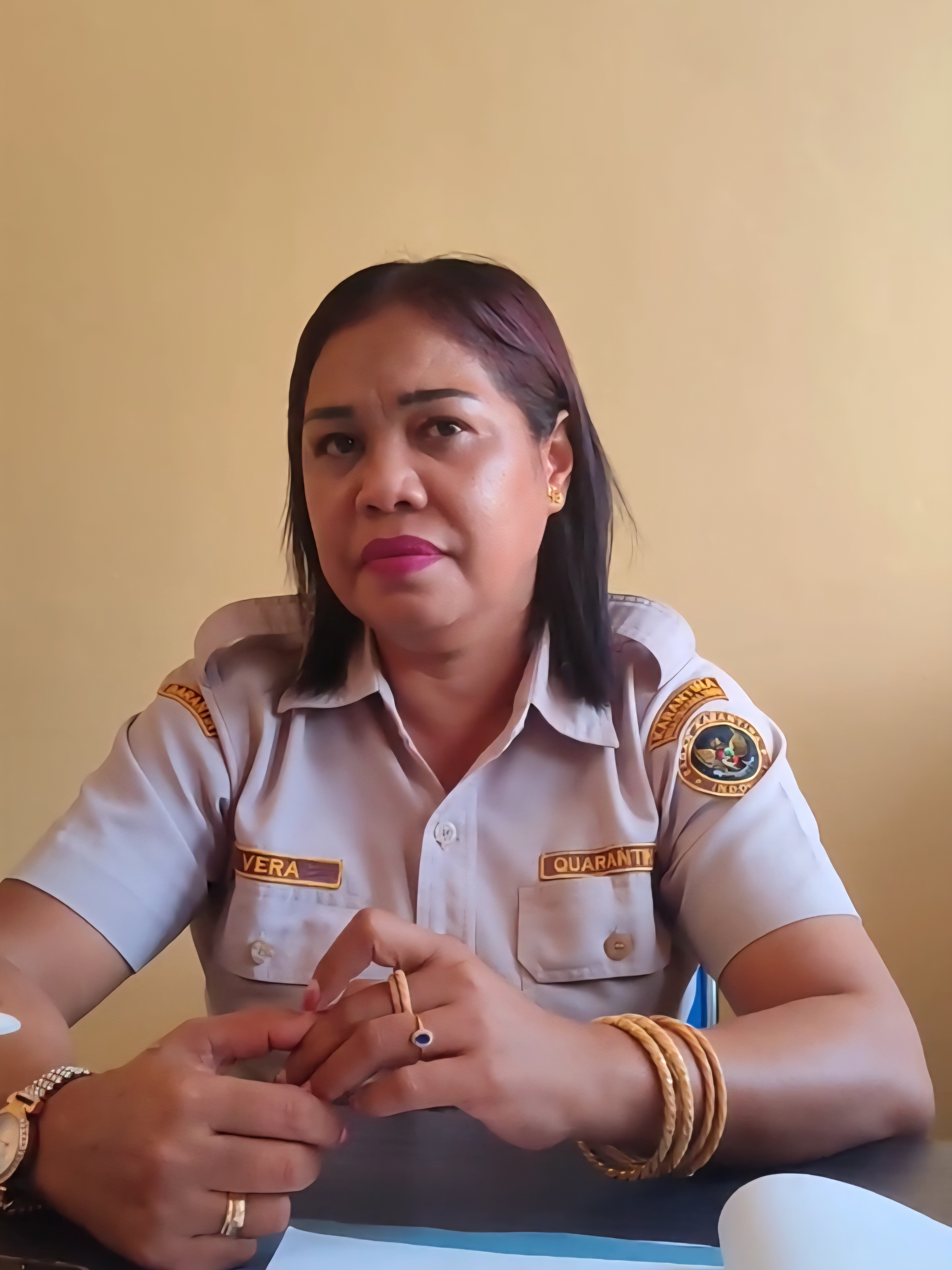 KECOLONGAN! Karantina SBD Diduga Dikelabui, 21 Ekor Ternak Ilegal dari Zona PMK Mendarat di Pantai Huma