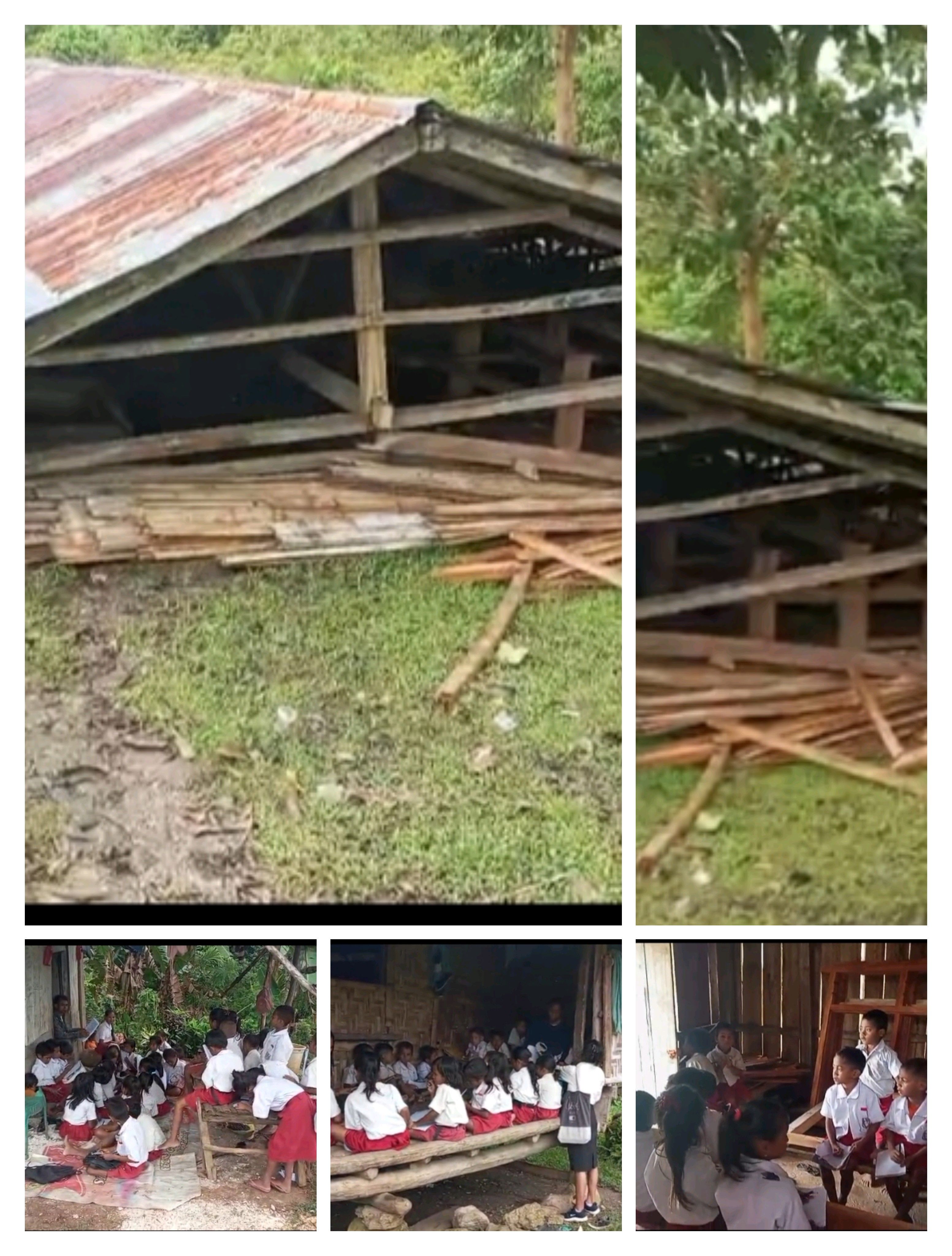 Sekolah SDTK Bondo Delo Tumbang Diterjang Angin Kencang, Siswa Terpaksa Belajar di Rumah Warga