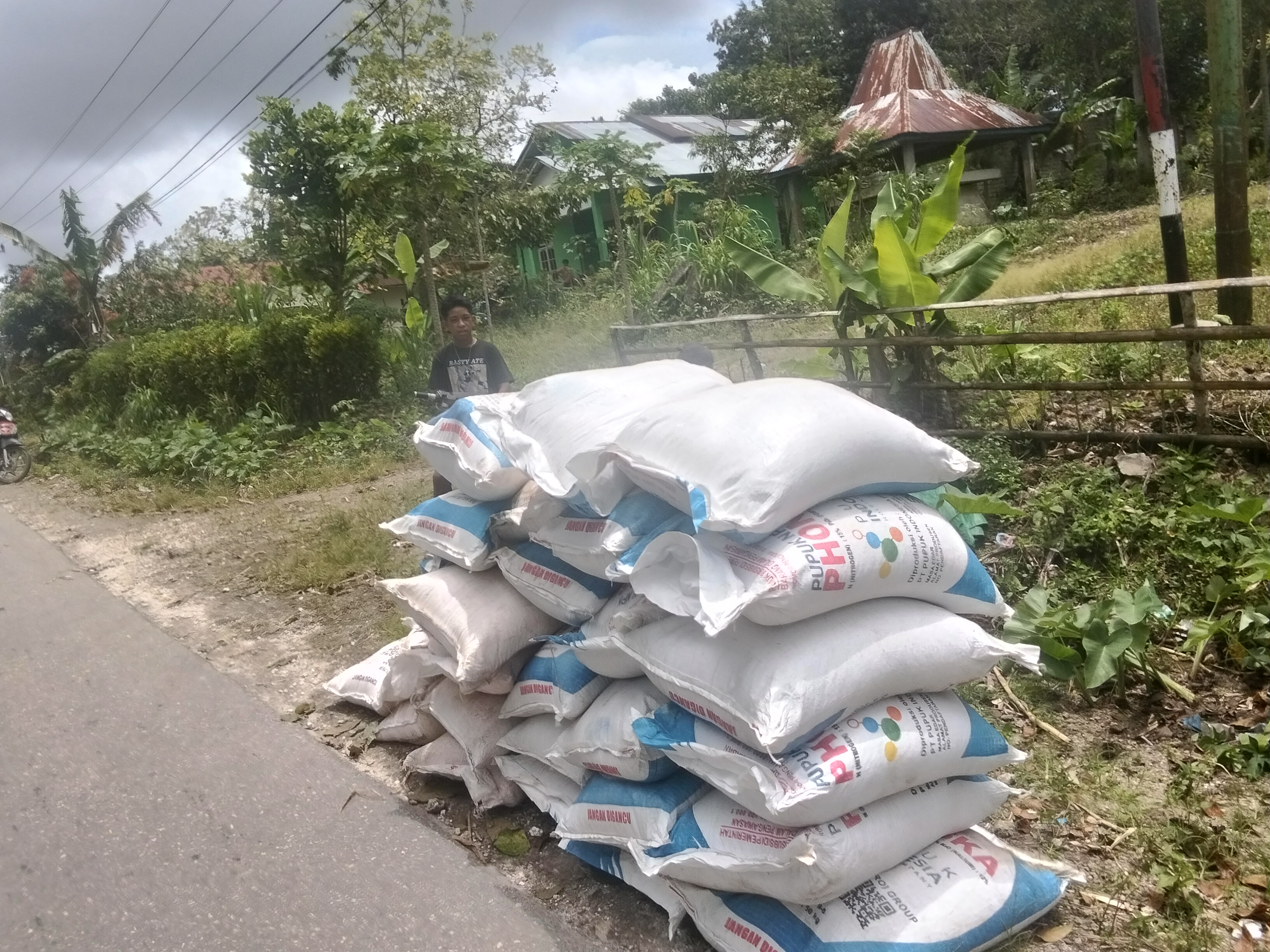 SILET SUMBA Rabu, 18 Maret 2026“PUPUK DISULAP JADI EMAS GELAP: PETANI MENANGIS, DINAS–DISTRIBUTOR–PENGECER DI UJUNG PISAU!”