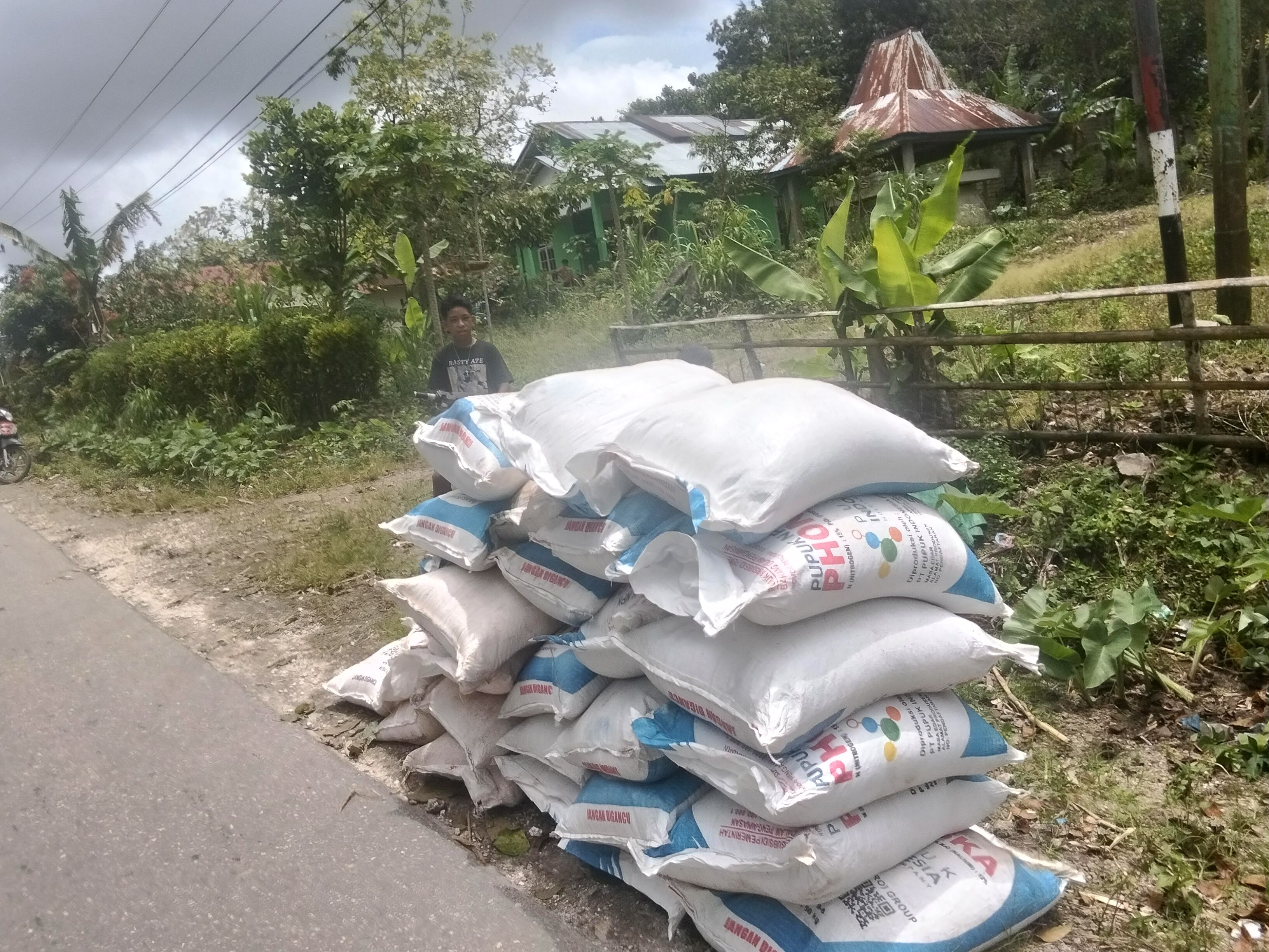 SILET SUMBA Rabu, 18 Maret 2026“PUPUK DISULAP JADI EMAS GELAP: PETANI MENANGIS, DINAS–DISTRIBUTOR–PENGECER DI UJUNG PISAU!”