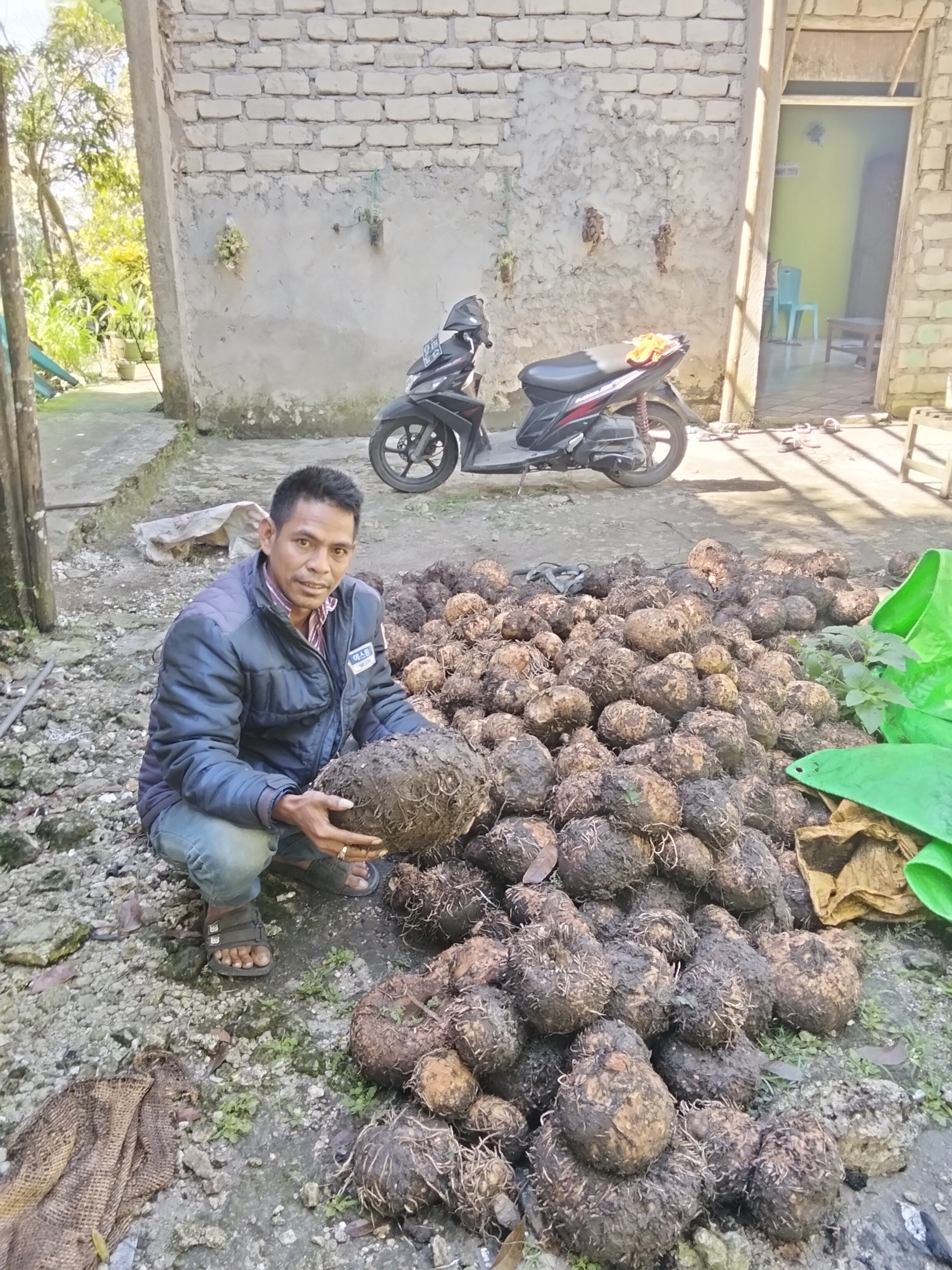 “DULU DIREMEHKAN, KINI DIIKUTI — PERJALANAN STEPANUS UMBU PATI GERAKKAN PETANI PORANG DI KECAMATAN WEWEWA BARAT”