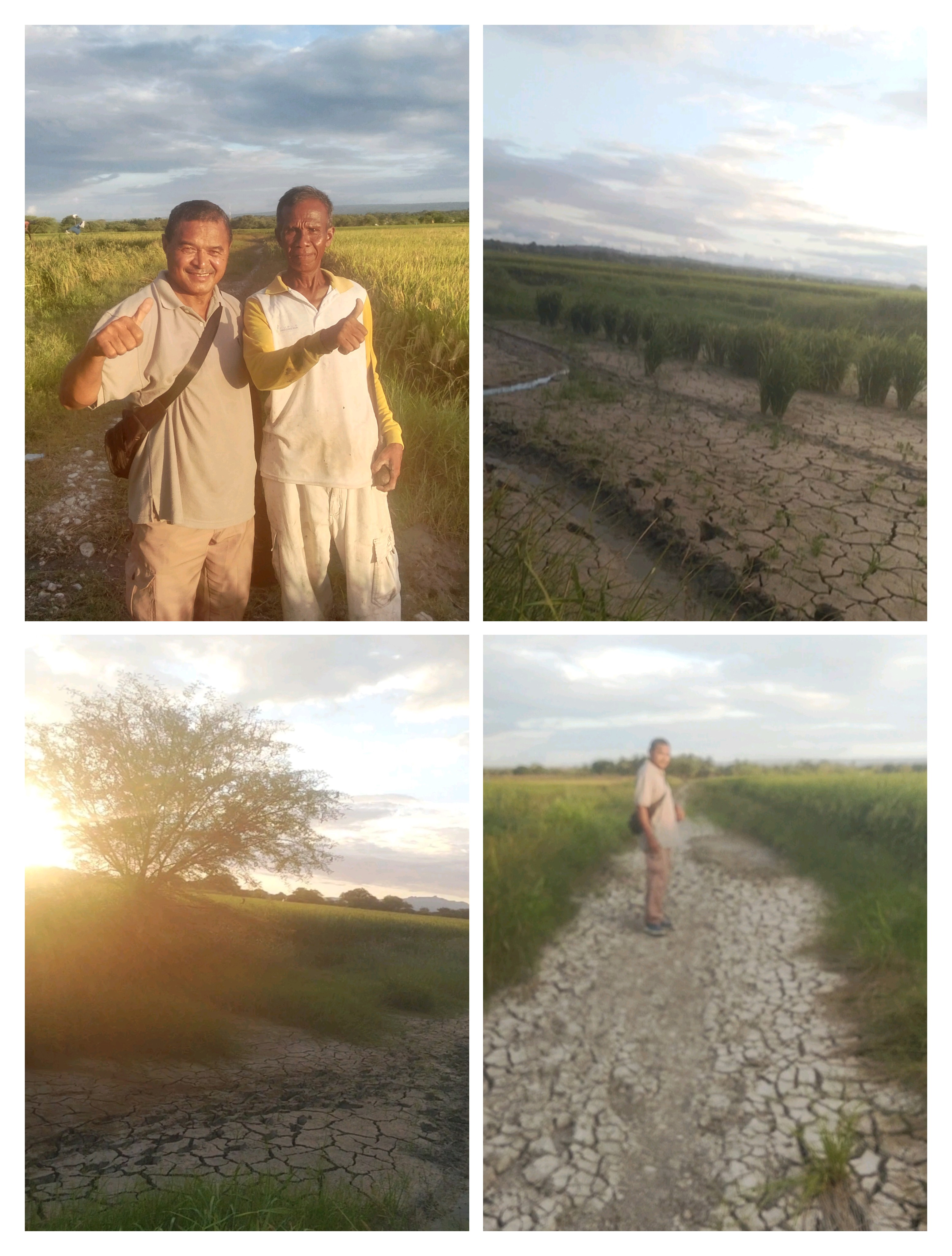 “JALAN HANCUR, HASIL TERKUNCI—SIAPA YANG BERTANGGUNG JAWAB?”