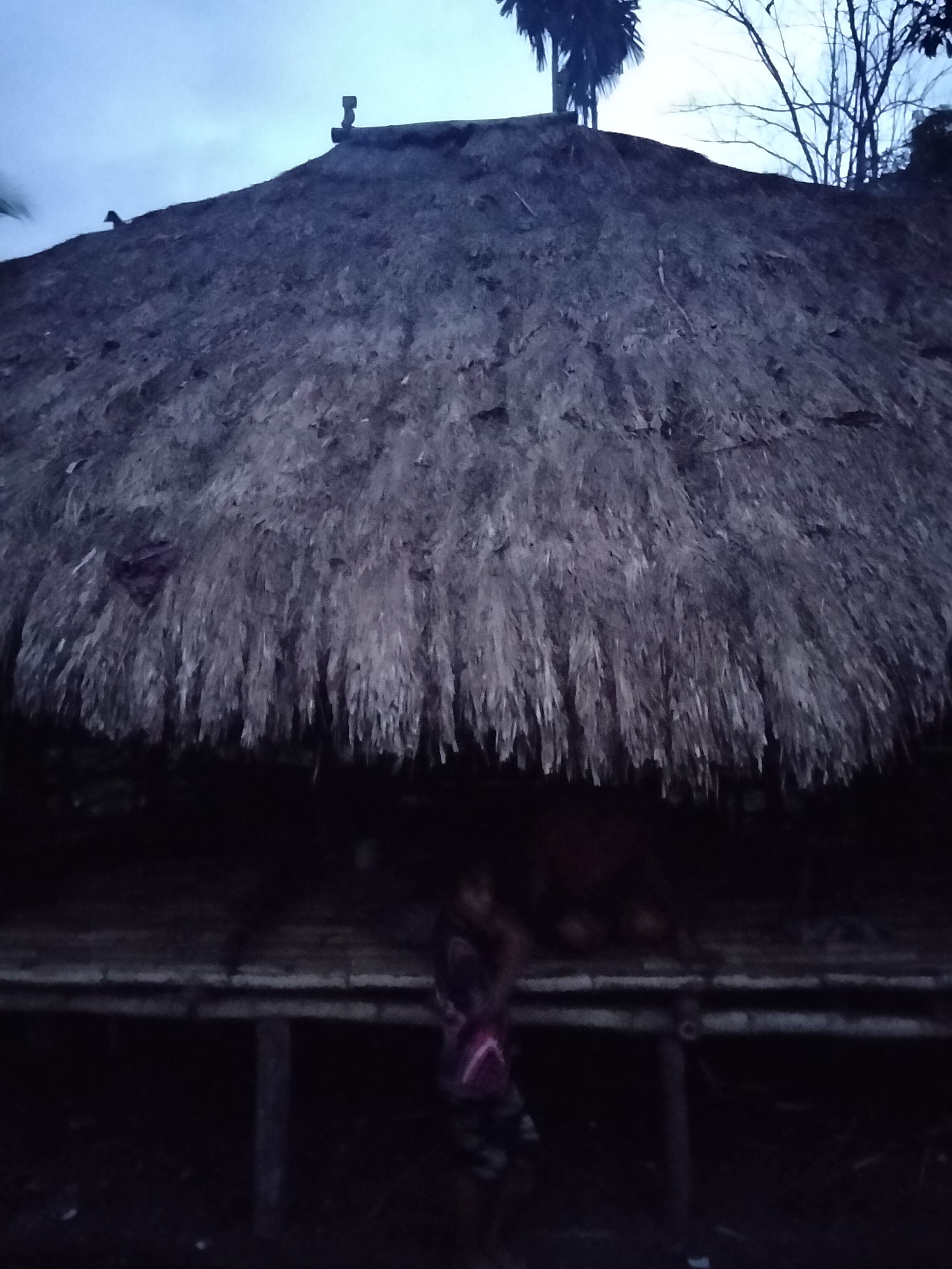 Pemda Sumba Barat Daya Gencar Bangun Infrastruktur, Mengapa 10 KK di Kampung Kambero Bengo Desa Waitaru Masih Tanpa Listrik, Air Bersih, dan Jalan Layak?