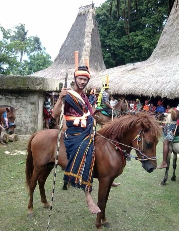 Kadis Peternakan SBD Agustinus Pandak: Bukan SBD yang Keluarkan Rekomendasi, Kami Koordinasi dengan Sumba Timur