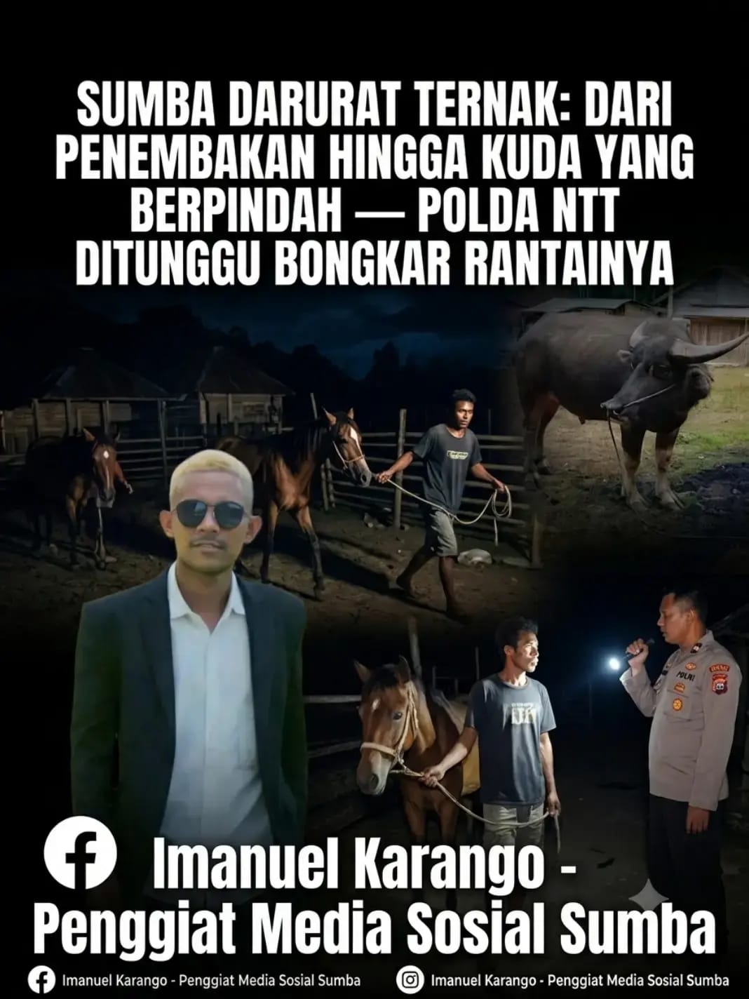 CURNAK SUMBA DAN DUGAAN MATA RANTAI PENADAHAN: SEJAUH MANA PENYELIDIKAN BERJALAN?