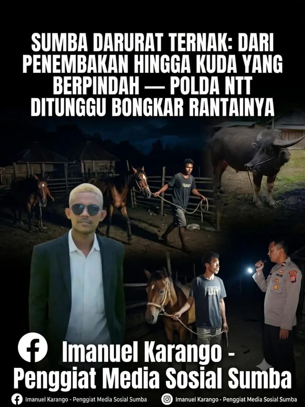 CURNAK SUMBA DAN DUGAAN MATA RANTAI PENADAHAN: SEJAUH MANA PENYELIDIKAN BERJALAN?